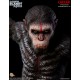 Dawn of the Planet of the Apes Regular Ceasar 1/4 Scale Statue 61 cm